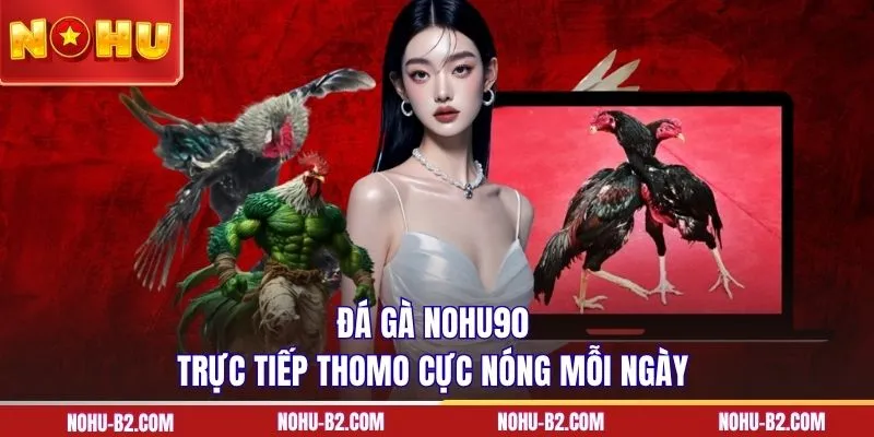 Đá gà NOHU90 trực tiếp Thomo cực nóng mỗi ngày